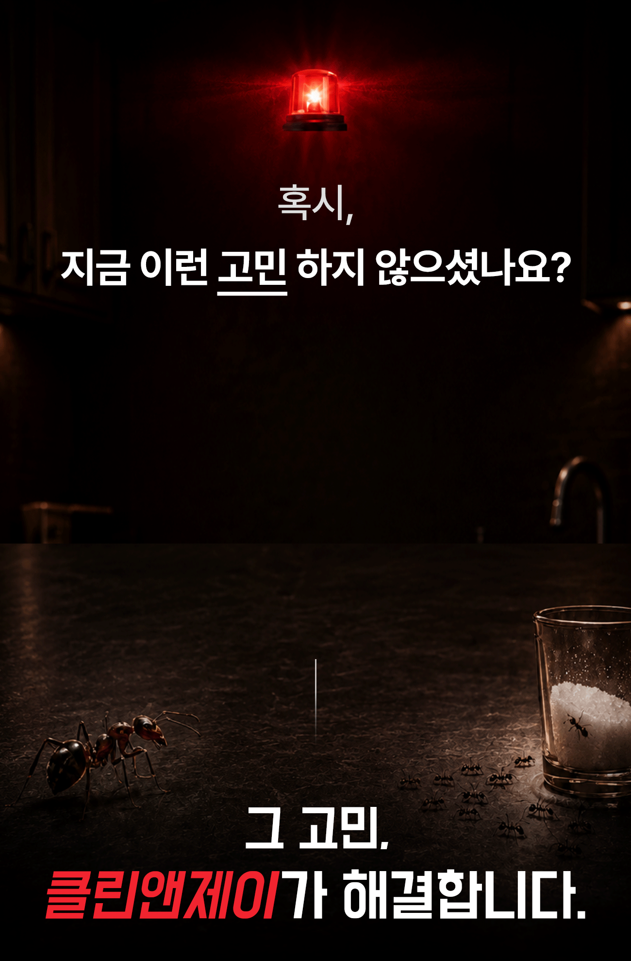 개미 고민 - 약을 뿌려도 며칠 뒤 한 마리씩 또 나온다, 잡아도 잡아도 끝이 없다, 갑자기 날개 달린 개미가 여러 마리 보인다. 그 고민 클린앤제이가 해결합니다