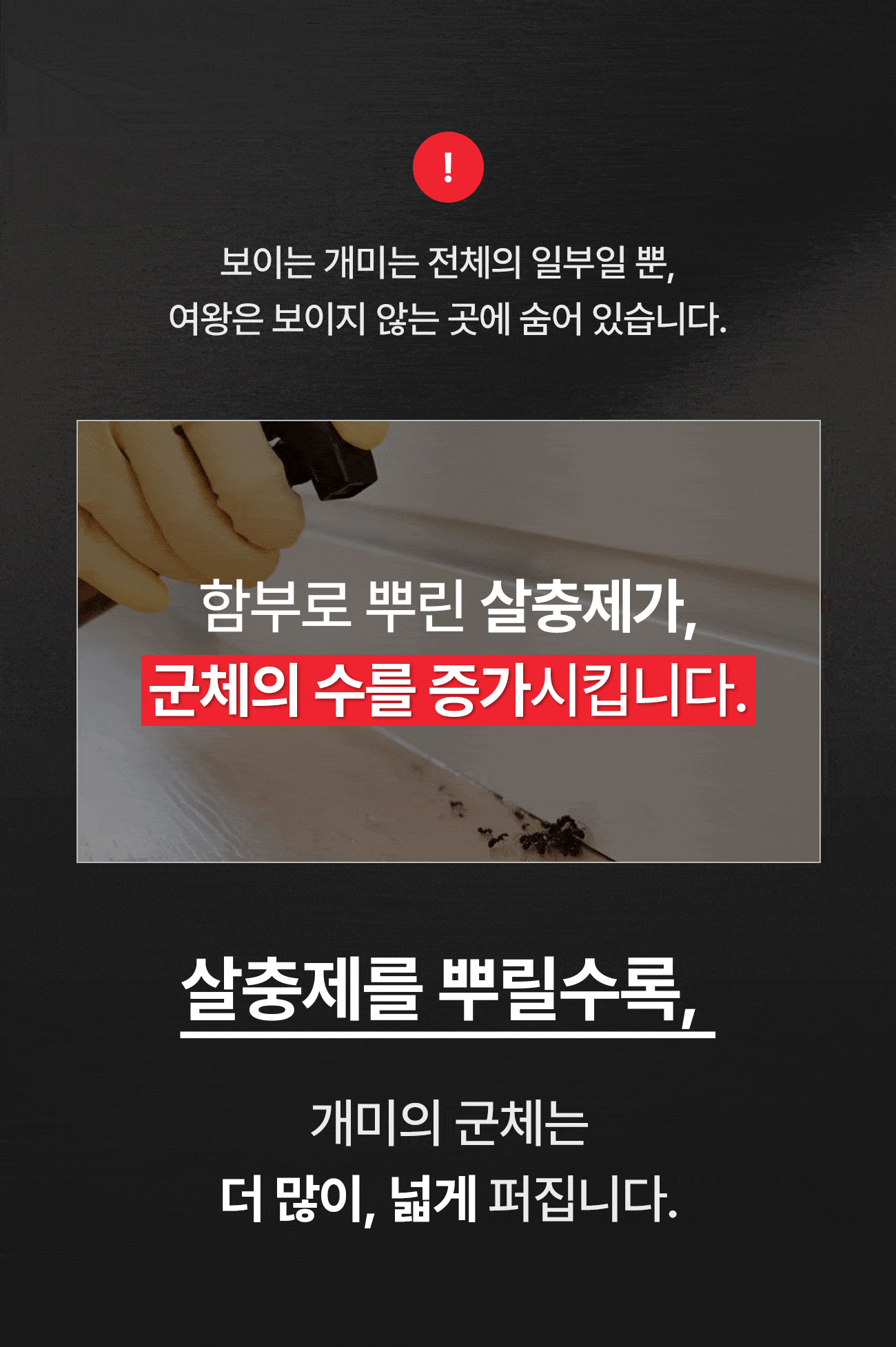 보이는 개미는 전체의 일부일 뿐, 여왕은 보이지 않는 곳에 숨어 있습니다. 함부로 뿌린 살충제가 군체의 수를 증가시켜 개미가 더 많이, 넓게 퍼집니다