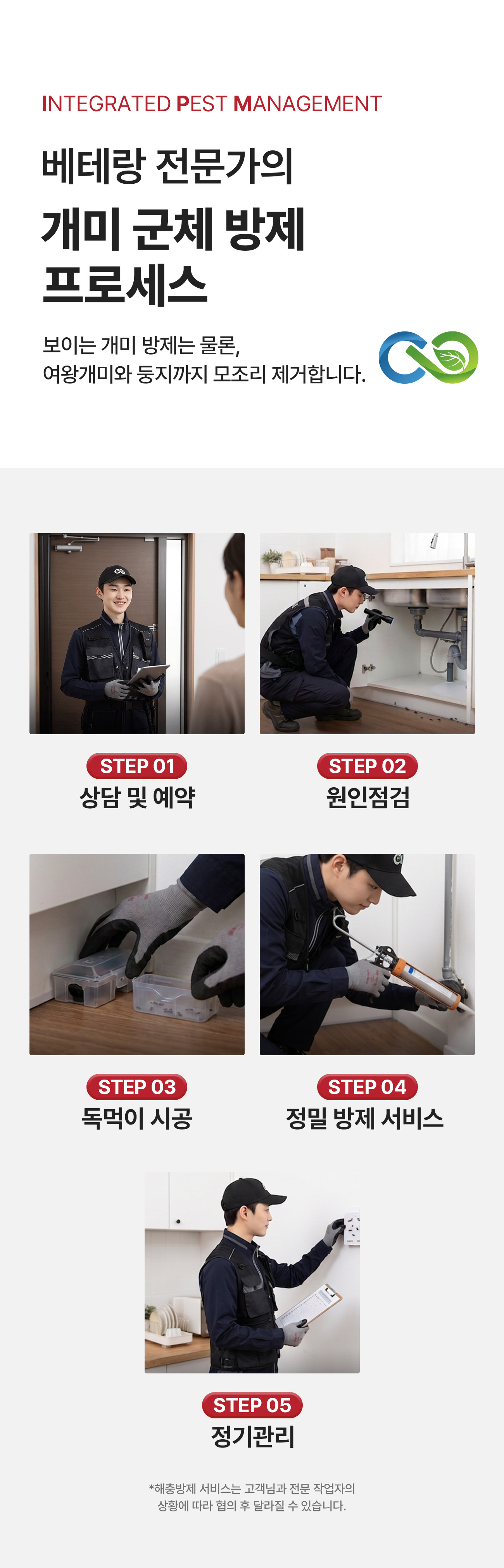 개미 군체 방제 프로세스 - 상담 및 예약, 원인점검, 독먹이 시공, 정밀 방제 서비스, 정기관리 5단계로 여왕개미와 둥지까지 제거