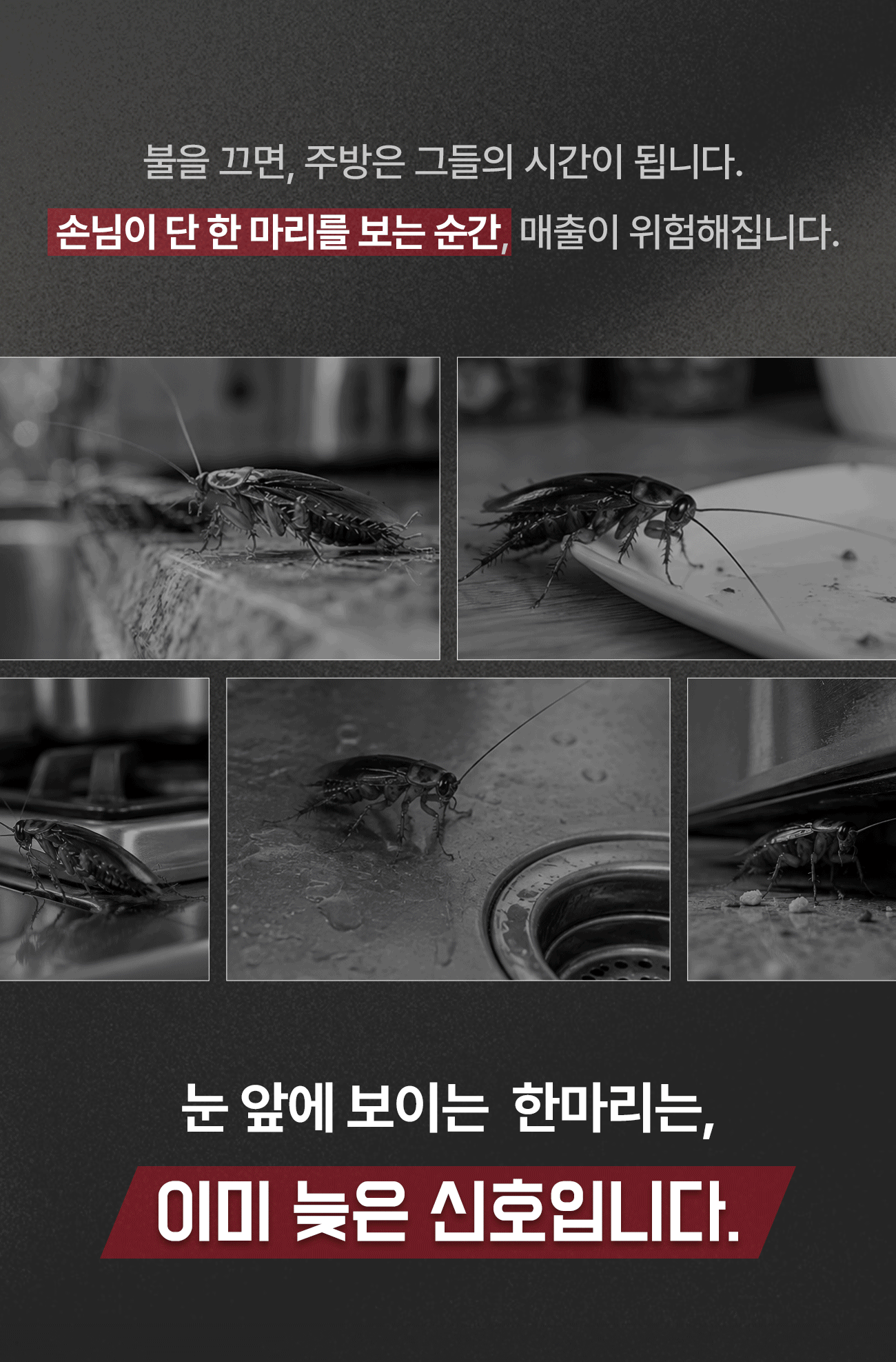 불을 끄면 주방은 바퀴벌레의 시간 - 손님이 한 마리를 보는 순간 매출이 위험해집니다. 눈앞에 보이는 한 마리는 이미 늦은 신호입니다