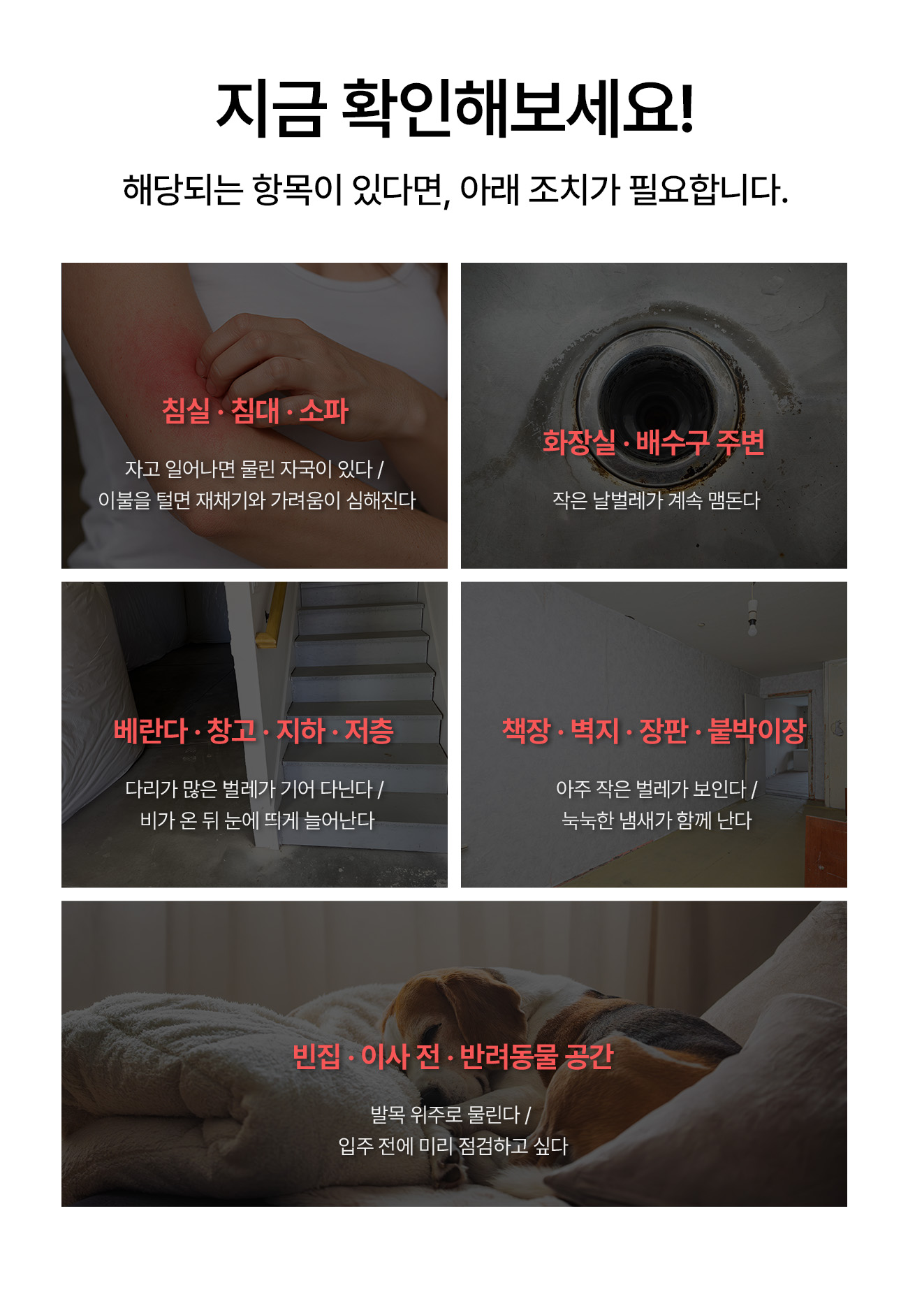 해충 체크 - 침실·침대·소파 물린 자국·가려움, 화장실·배수구 날벌레, 베란다·창고·지하 다리 많은 벌레, 책장·벽지 작은 벌레와 눅눅한 냄새, 빈집·이사 전·반려동물 공간
